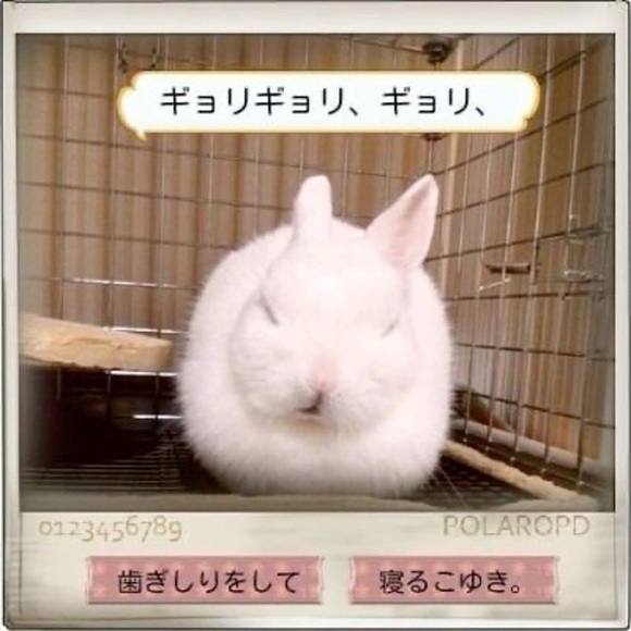 Thanks for stopping by! :D - Picture 1 of 1